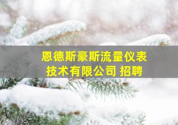 恩德斯豪斯流量仪表技术有限公司 招聘